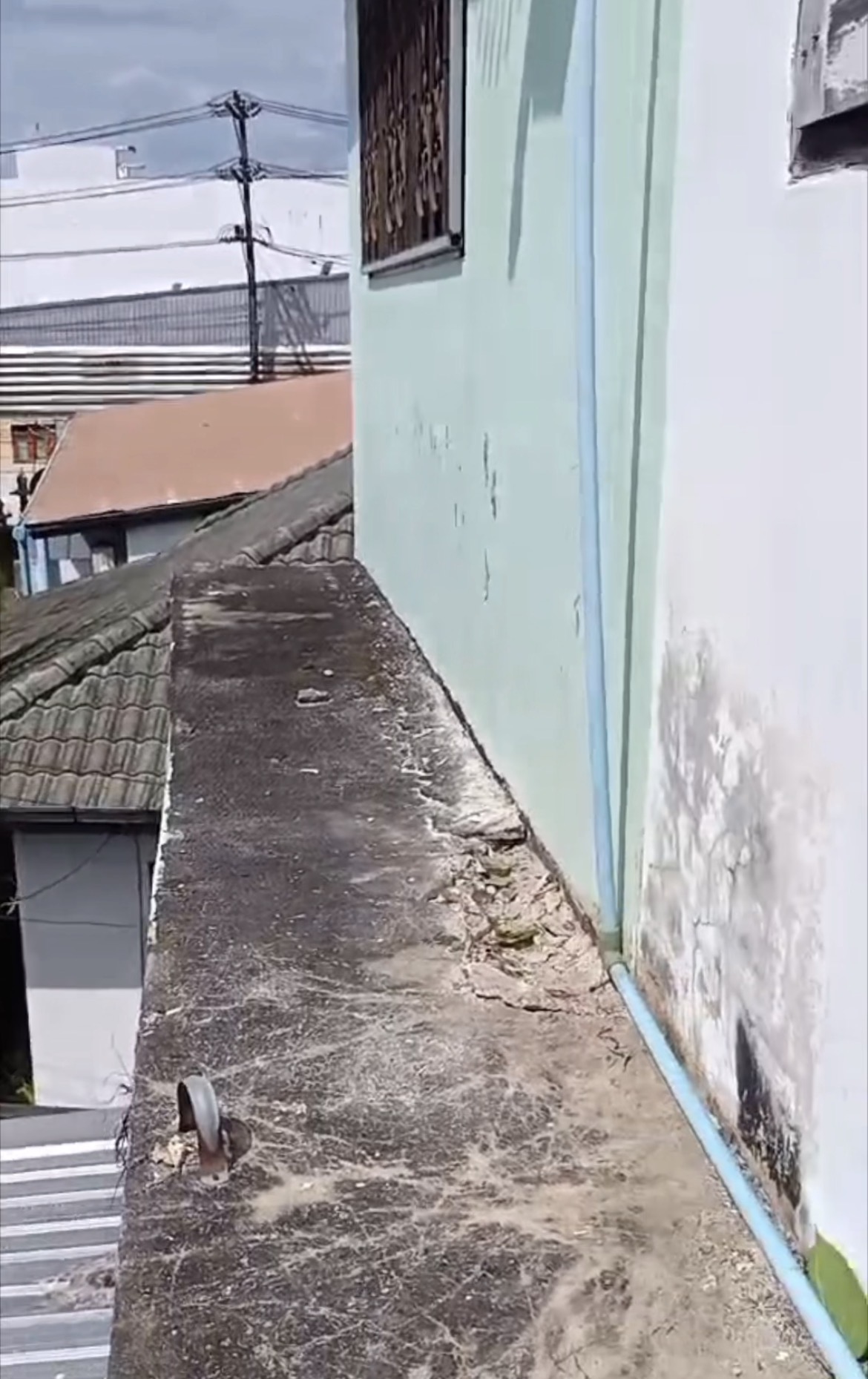 สภาพพื้นที่หลังรื้อถอนต้นไม้เสร็จ